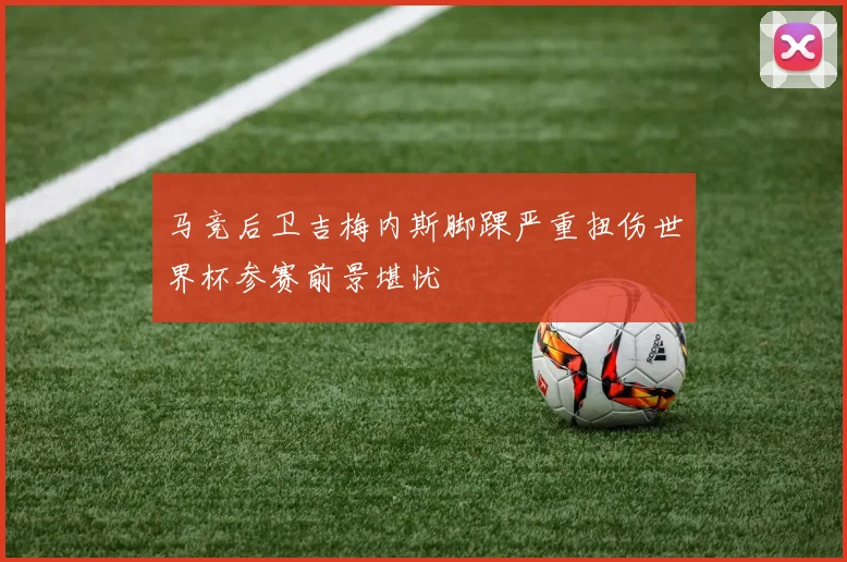 马竞后卫吉梅内斯脚踝严重扭伤世界杯参赛前景堪忧