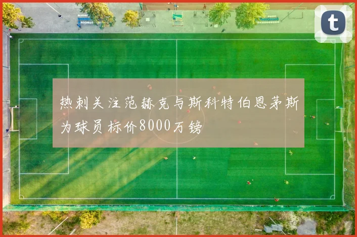 热刺关注范赫克与斯科特伯恩茅斯为球员标价8000万镑